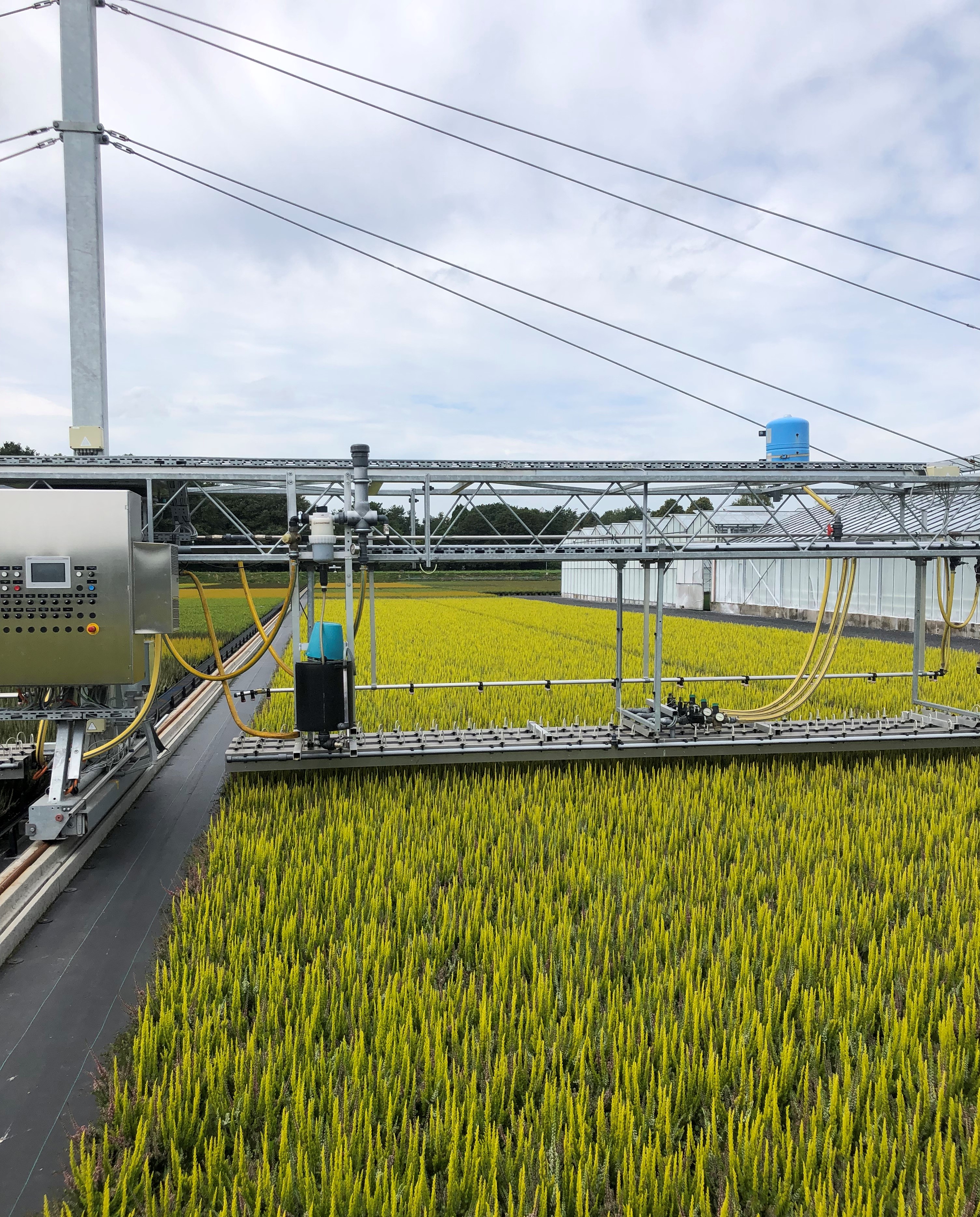 Exaktgießwagen bei Gartenbau Dercks, Foto: Agrobusiness Niederrhein